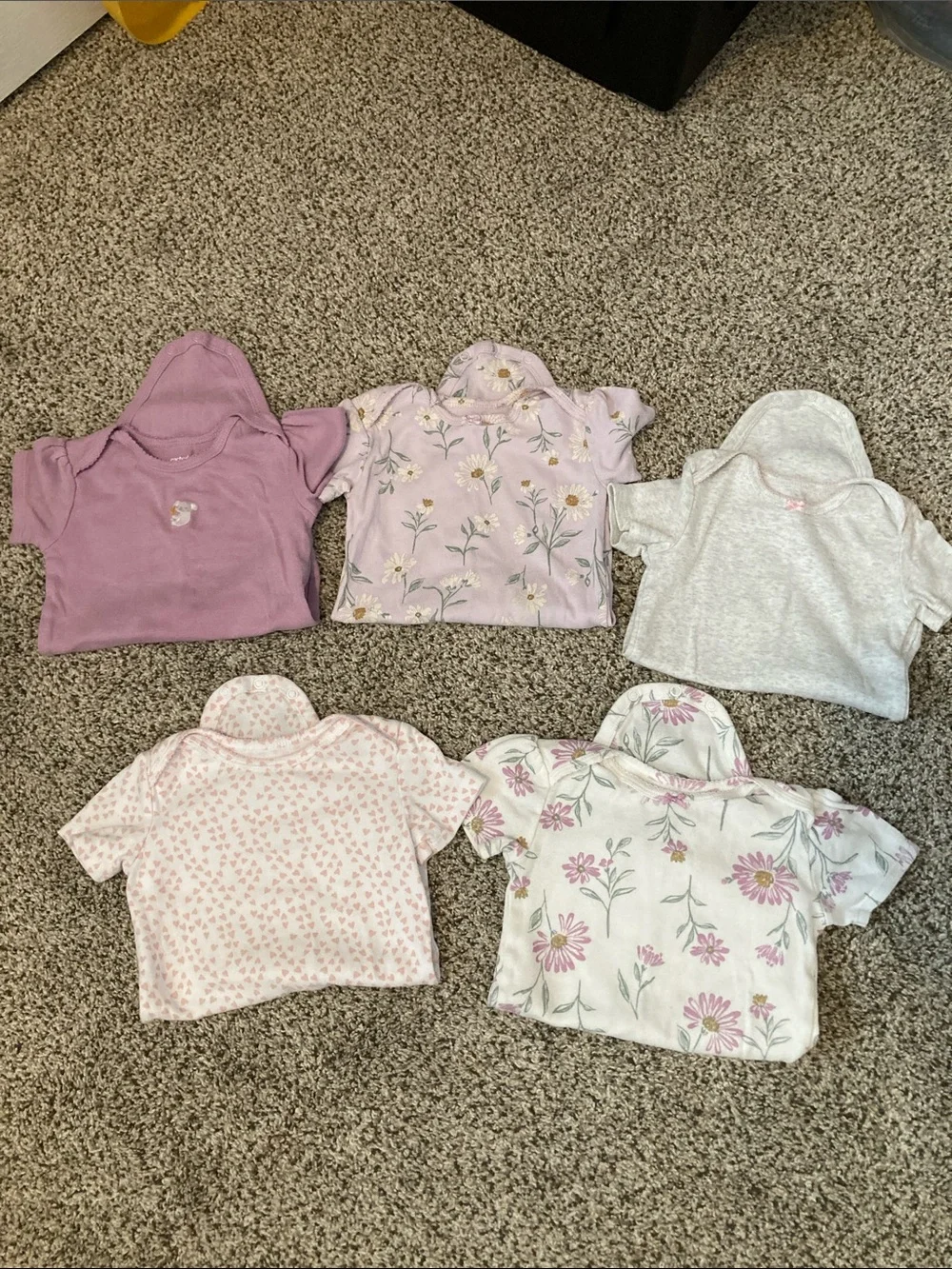 5 short sleeve onesies